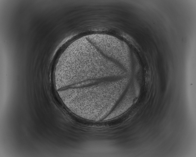 X0000084570727200703231820