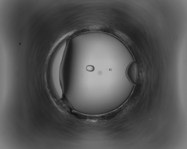 X0000084570728200703231820