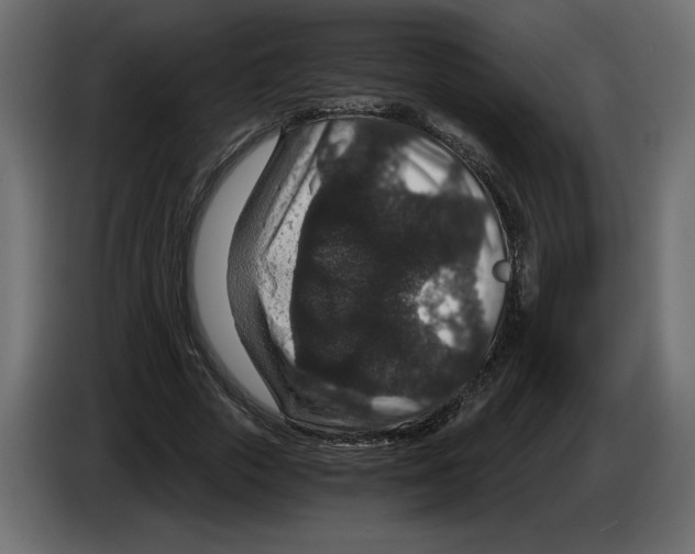 X0000084570729200703231820