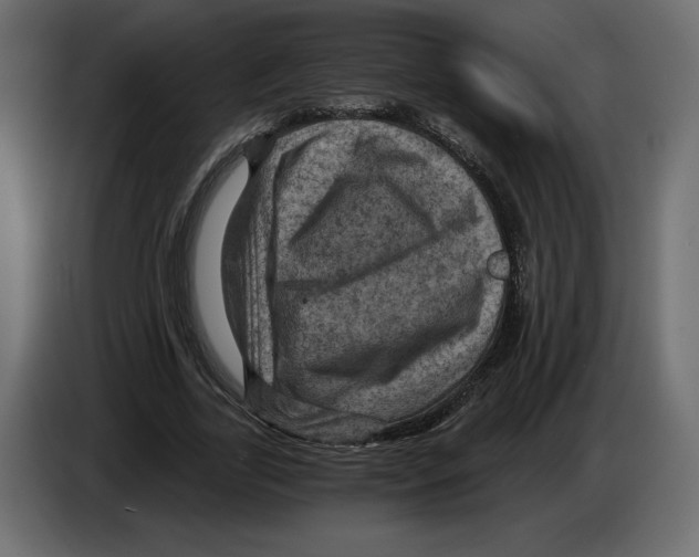 X0000084570731200703231820