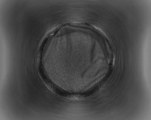 X0000084570736200703231821