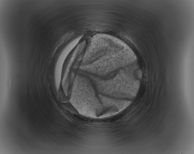 X0000084570738200703231821