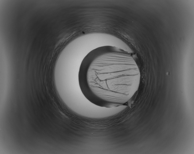 X0000084570740200703231821