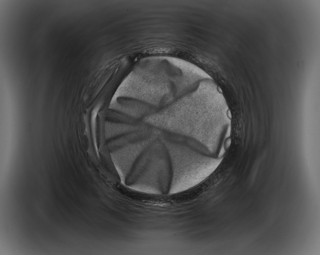 X0000084570743200703231821