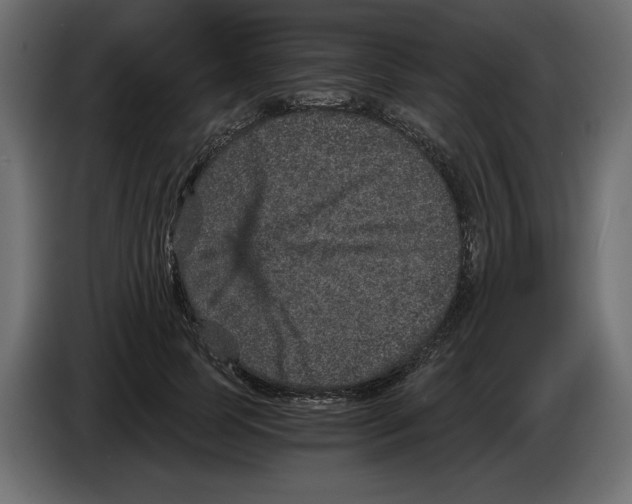 X0000084570745200703231821