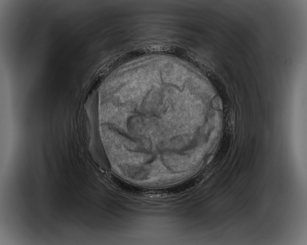 X0000084570746200703231821