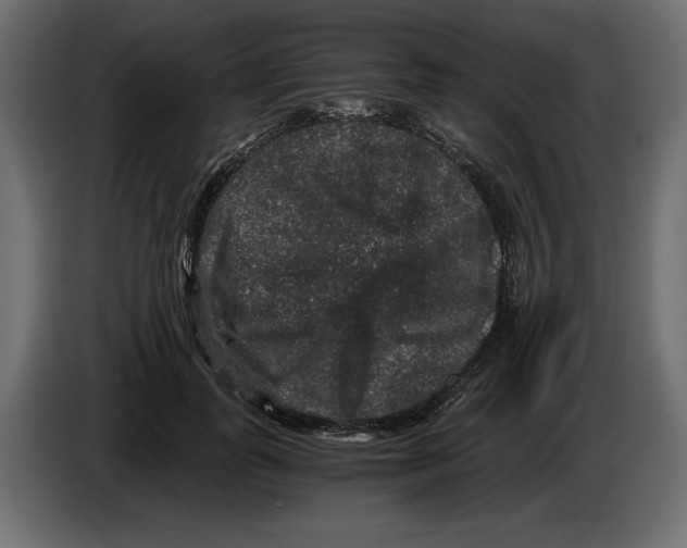 X0000084570747200703231821