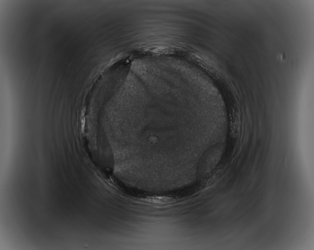 X0000084570748200703231821