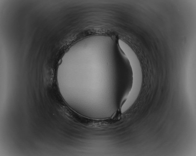 X0000084570752200703231821