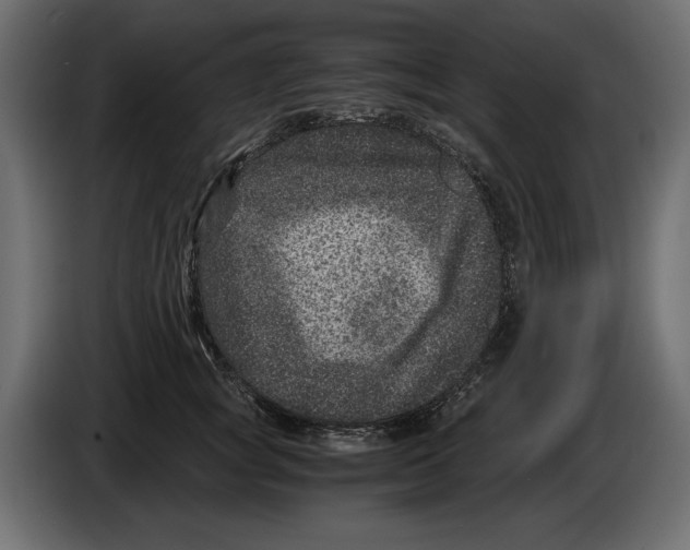 X0000084570757200703231821