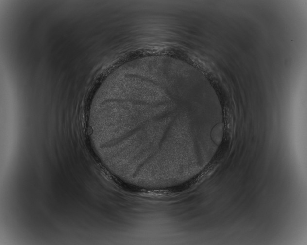 X0000084570758200703231821