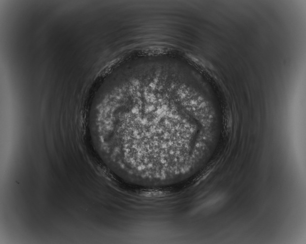 X0000084570759200703231821