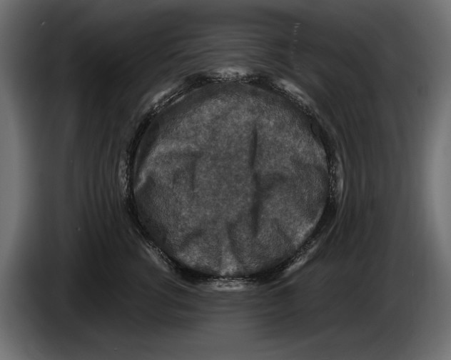 X0000084570762200703231821