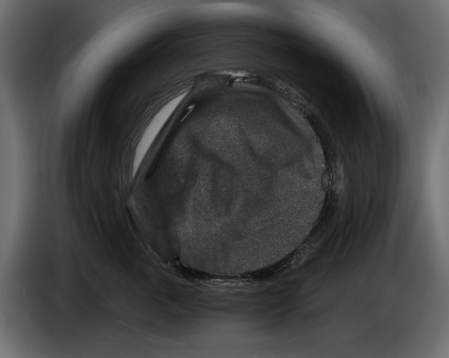 X0000084570763200703231821