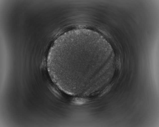 X0000084570766200703231821