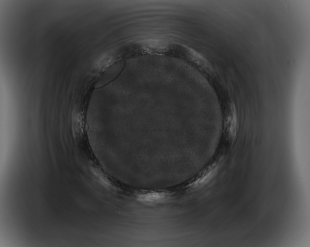 X0000084570772200703231820