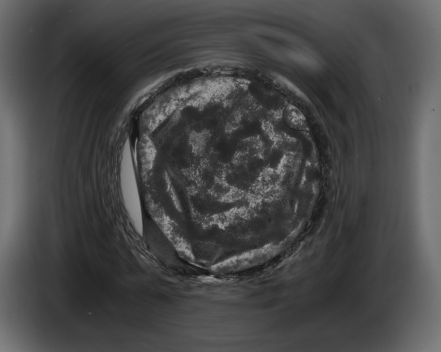 X0000084570775200703231820