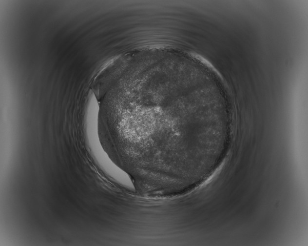 X0000084570777200703231820