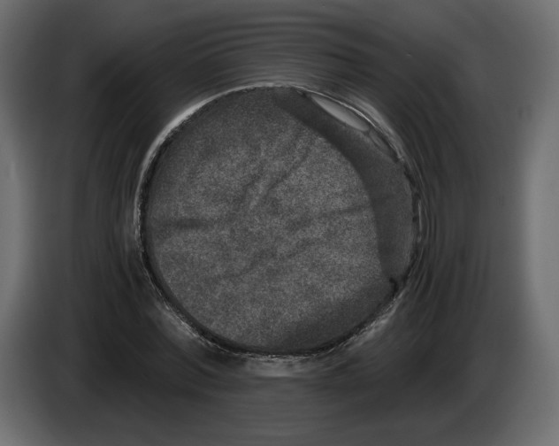 X0000084570780200703231820