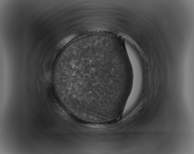 X0000084570785200703231820