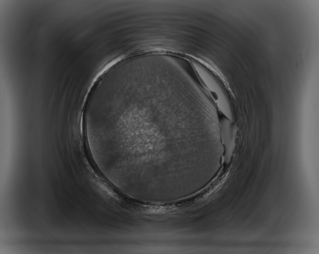 X0000084570790200703231820