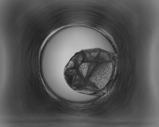 X0000084570792200703231820