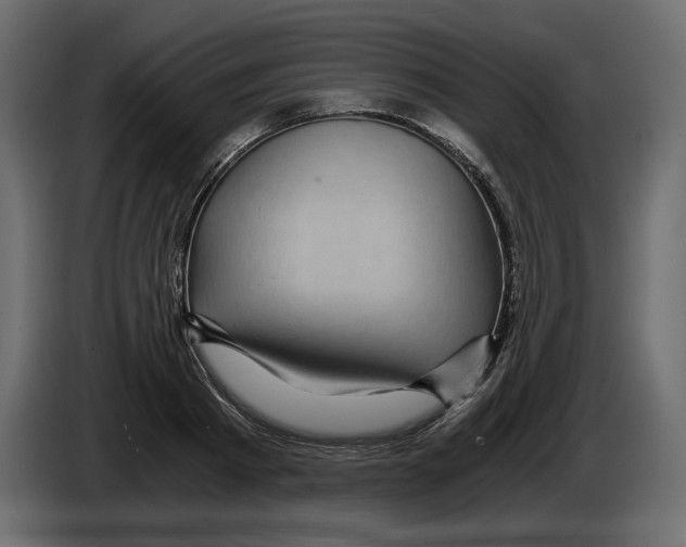 X0000084570793200703231820