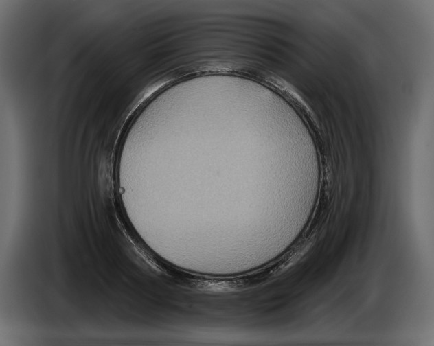 X0000084570794200703231820