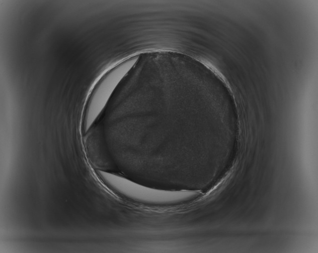 X0000084570797200703231820