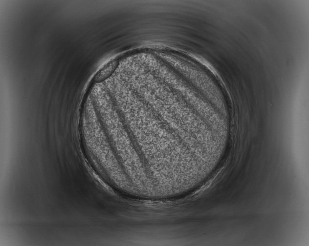 X0000084570799200703231820