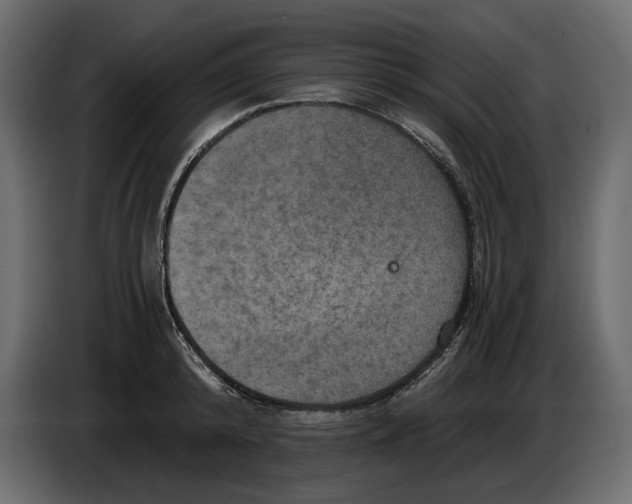 X0000084570800200703231820