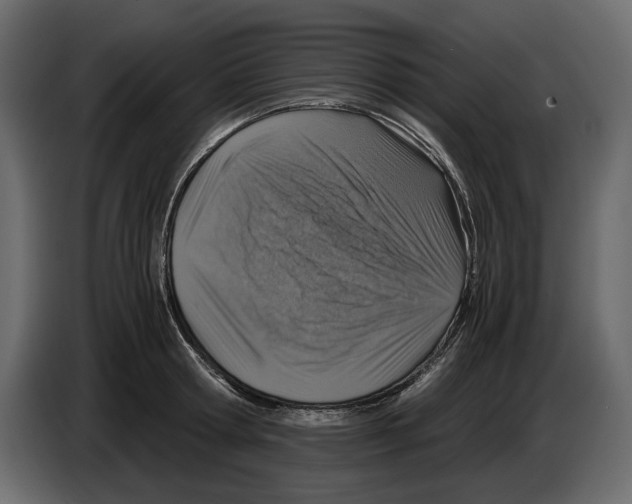 X0000084570802200703231820