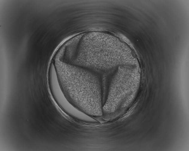 X0000084570803200703231820