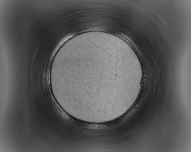 X0000084570804200703231820