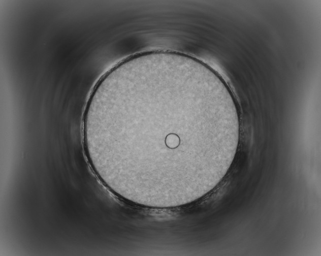 X0000084570807200703231820