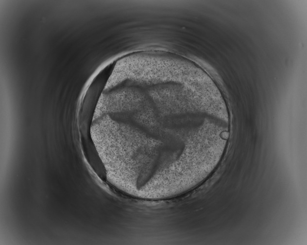 X0000084570816200703231820