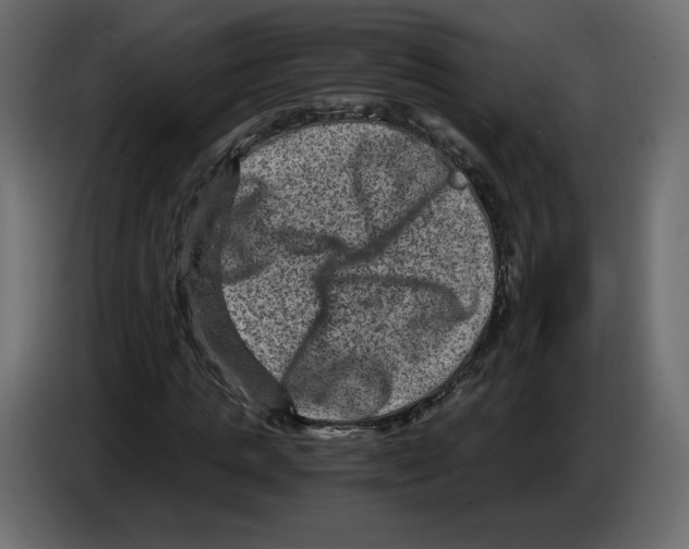 X0000084570821200703231819