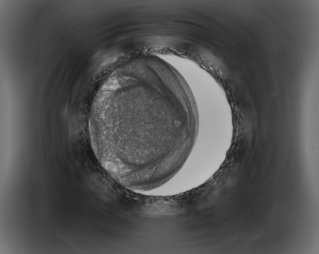 X0000084570824200703231819