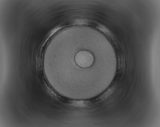 X0000084570828200703231819