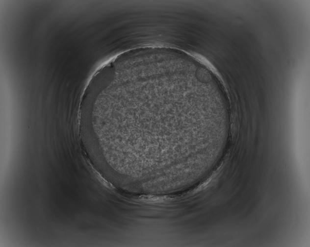 X0000084570831200703231819