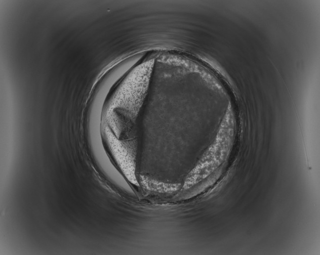 X0000084570834200703231819