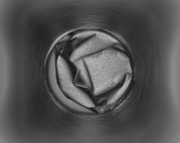 X0000084570838200703231819