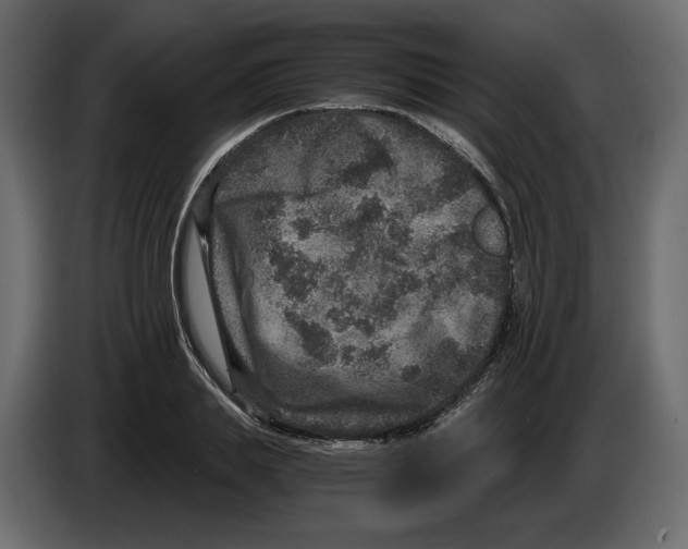 X0000084570839200703231819