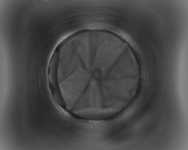 X0000084570840200703231819