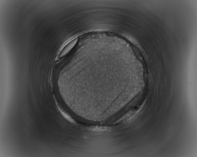 X0000084570842200703231819