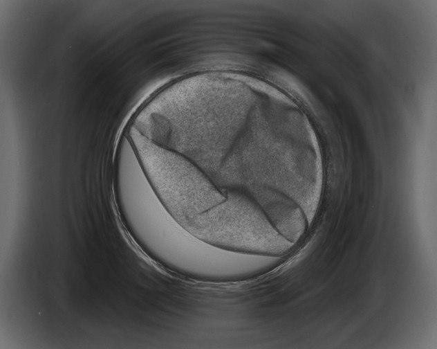 X0000084570844200703231819