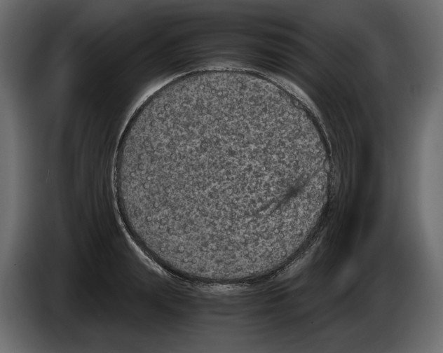 X0000084570847200703231819