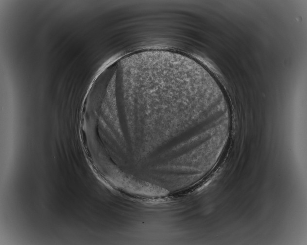 X0000084570850200703231819