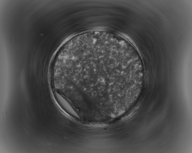 X0000084570851200703231819