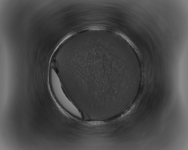 X0000084570853200703231819